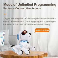 Interactive Dog Robot